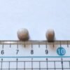 12-10 TRIZA犬用認知健康補充品