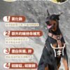 美國進口 – Taste of the Wild - 無穀物野牛+烤鹿肉配方（成犬糧）