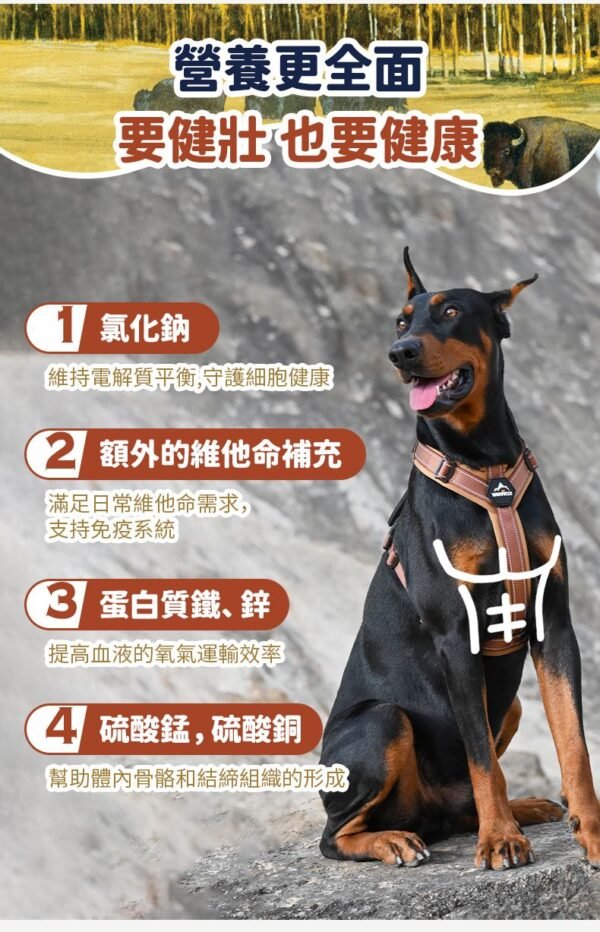 美國進口 – Taste of the Wild - 無穀物野牛+烤鹿肉配方（成犬糧）