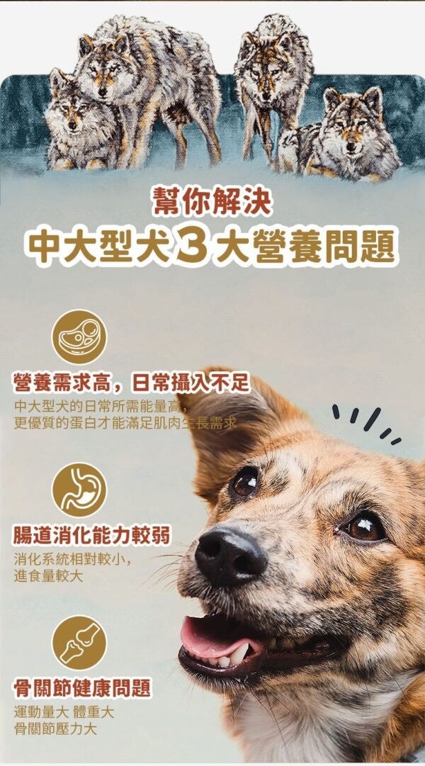 美國進口 – Taste of the Wild - 無穀物野牛+烤鹿肉配方（成犬糧）