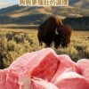 美國進口 – Taste of the Wild - 無穀物野牛+烤鹿肉配方（成犬糧）