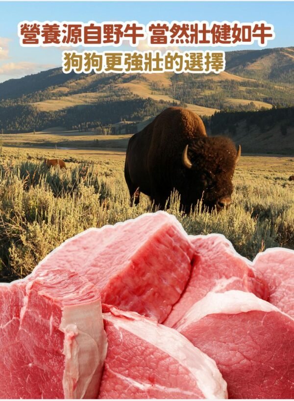 美國進口 – Taste of the Wild - 無穀物野牛+烤鹿肉配方（成犬糧）