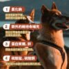 美國進口 – Taste of the Wild - 無穀物烤羊肉配方（全犬糧）