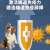 美國進口 – Taste of the Wild - 無穀物烤羊肉配方（全犬糧）