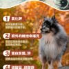 美國進口 – Taste of the Wild - 無穀物 煙熏三文魚幼粒配方（全犬糧）