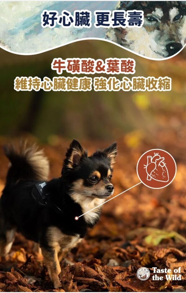 美國進口 – Taste of the Wild - 無穀物 煙熏三文魚幼粒配方（全犬糧）
