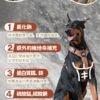 美國進口-Taste of the Wild 無穀物鹿肉+鷹嘴豆配方（全犬糧）