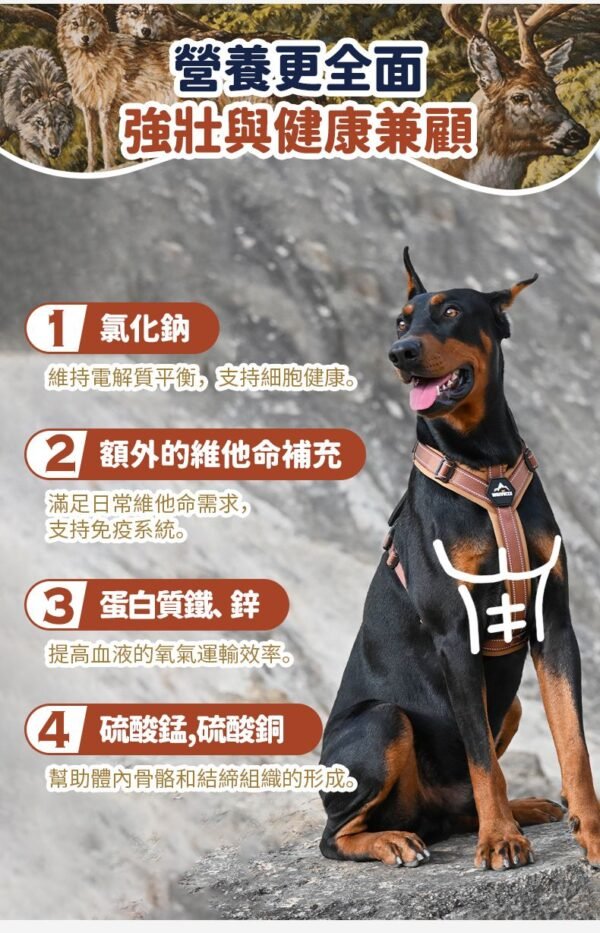 美國進口-Taste of the Wild 無穀物鹿肉+鷹嘴豆配方（全犬糧）