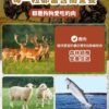 美國進口-Taste of the Wild 無穀物鹿肉+鷹嘴豆配方（全犬糧）