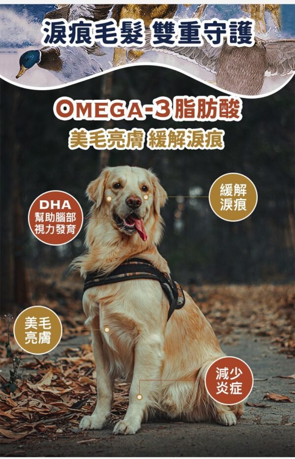 美國進口 - Taste of the Wild 無穀物 烤鴨肉+烤鵪鶉肉+煙燻火雞配方(成犬糧) 12.2KG (Exp date: 2027-04-04)