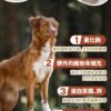 美國進口 - Taste of the Wild 無穀物 烤鴨肉+烤鵪鶉肉+煙燻火雞配方(成犬糧) 12.2KG (Exp date: 2027-04-04)