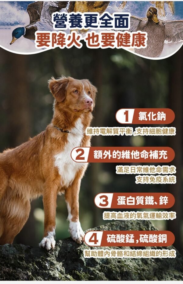 美國進口 - Taste of the Wild 無穀物 烤鴨肉+烤鵪鶉肉+煙燻火雞配方(成犬糧) 12.2KG (Exp date: 2027-04-04)