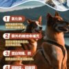 美國進口 – Taste of the Wild - 無穀物 三文魚配方（成犬糧）