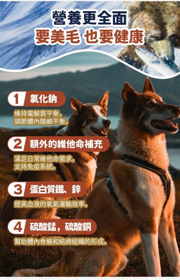 美國進口 – Taste of the Wild - 無穀物 三文魚配方（成犬糧）