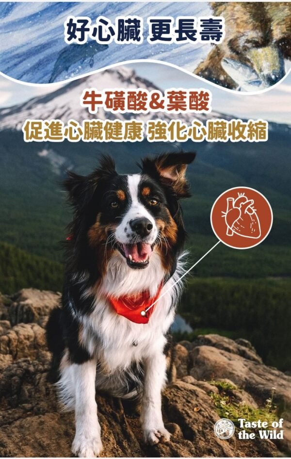 美國進口 – Taste of the Wild - 無穀物 三文魚配方（成犬糧）