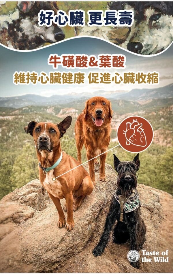 美國進口 – Taste of the Wild - 無穀物 野牛+烤鹿肉幼粒配方（全犬糧）