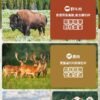 美國進口 – Taste of the Wild - 無穀物 野牛+烤鹿肉幼粒配方（全犬糧）