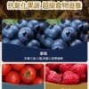 美國進口 – Taste of the Wild - 無穀物 野牛+烤鹿肉幼粒配方（全犬糧）