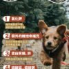 美國進口 – Taste of the Wild - 無穀物 野牛+烤鹿肉幼粒配方（全犬糧）