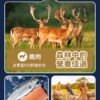 美國進口 - Taste of the Wild - 無穀物 烤鹿肉+煙熏三文魚配方（全貓糧）