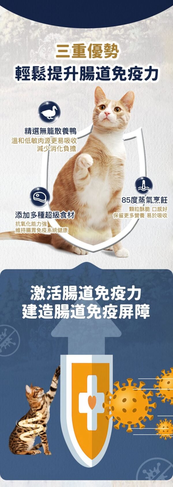 美國進口 – Taste of the Wild - 無穀物 烤鵪鶉+烤鴨肉配方（全貓糧）6.6KG (Exp date: 2027-03-13)