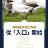 美國進口 – Taste of the Wild - 無穀物 烤鵪鶉+烤鴨肉配方（全貓糧）6.6KG (Exp date: 2027-03-13)