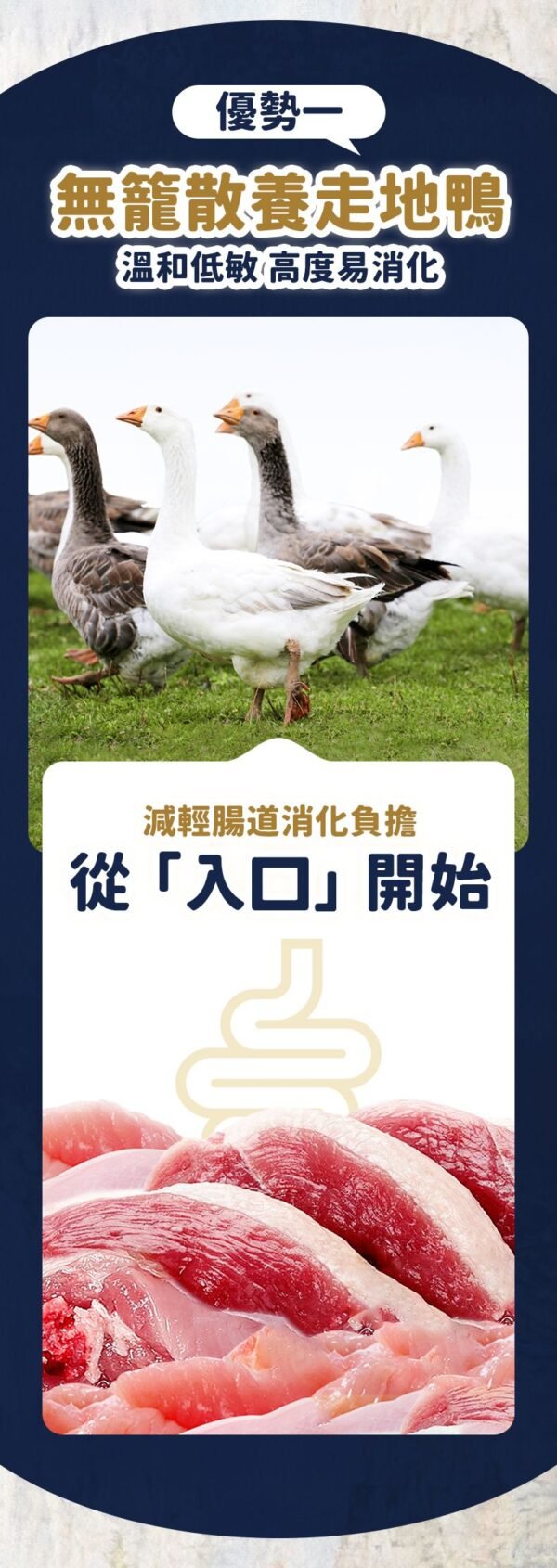 美國進口 – Taste of the Wild - 無穀物 烤鵪鶉+烤鴨肉配方（全貓糧）6.6KG (Exp date: 2027-03-13)