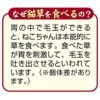 Petio - 日本產 去毛球&皮膚毛髮護理貓草脆粒粒  貓小食 30g