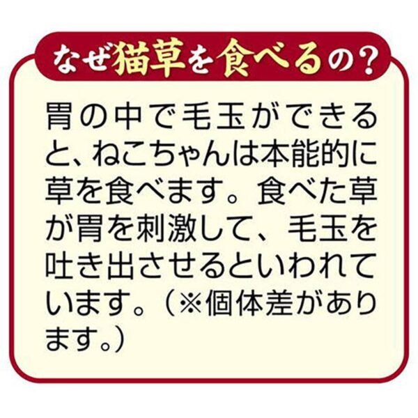 Petio - 日本產 去毛球&皮膚毛髮護理貓草脆粒粒  貓小食 30g