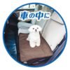91603044-7 Petio Ethical Door 寵物抗菌 除臭防水多功能墊(常規)