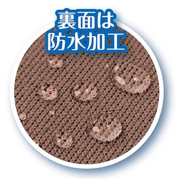 91603045-11 Petio Ethical Door 寵物抗菌 除臭防水多功能墊(加闊)