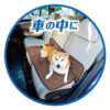 91603045-5 Petio Ethical Door 寵物抗菌 除臭防水多功能墊(加闊)