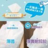 Odout台灣 - (貓用) 抗菌除臭濕紙巾 50抽
