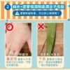 Odout台灣 - (貓用) 抗菌除臭濕紙巾 50抽