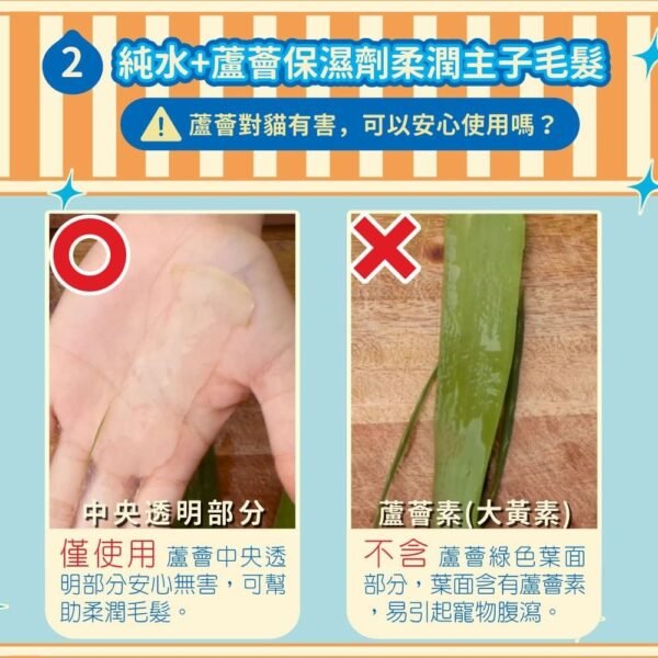 Odout台灣 - (貓用) 抗菌除臭濕紙巾 50抽