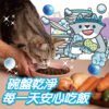 Odout台灣 - （貓用）食器洗滌劑