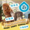 Odout台灣 - （犬貓適用）寵物抑菌尿漬去除劑 (0.5L)