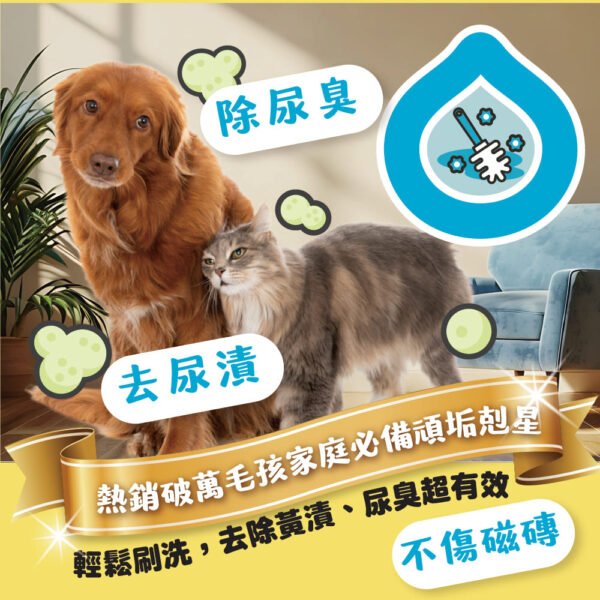 Odout台灣 - （犬貓適用）寵物抑菌尿漬去除劑 (0.5L)