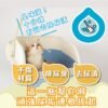 Odout台灣 - （犬貓適用）高效泡沫尿垢分解噴霧 (0.5L)