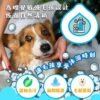 Odout台灣 - （犬貓適用）寵物無香味低敏除臭洗毛液 (0.5L)