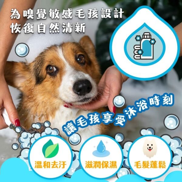 Odout台灣 - （犬貓適用）寵物無香味低敏除臭洗毛液 (0.5L)