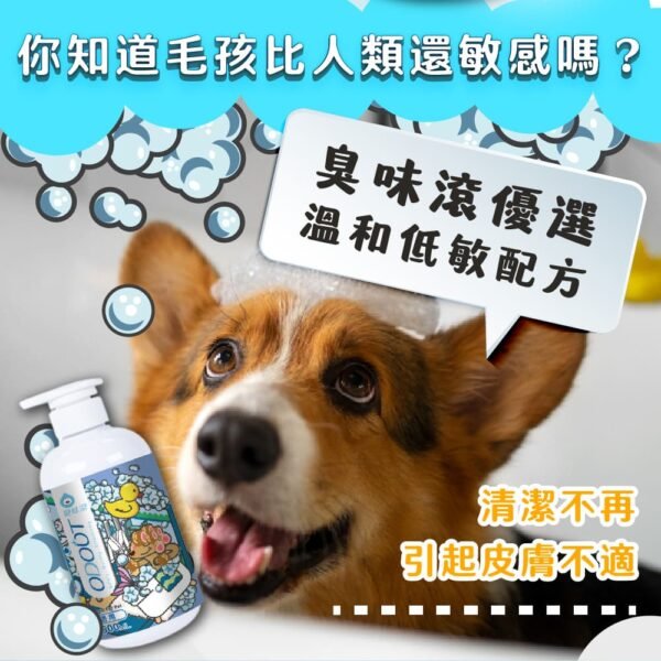 Odout台灣 - （犬貓適用）寵物無香味低敏除臭洗毛液 (0.5L)