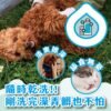 Odout台灣 - （犬貓適用）寵物天然除臭清潔乾洗粉 (100g)