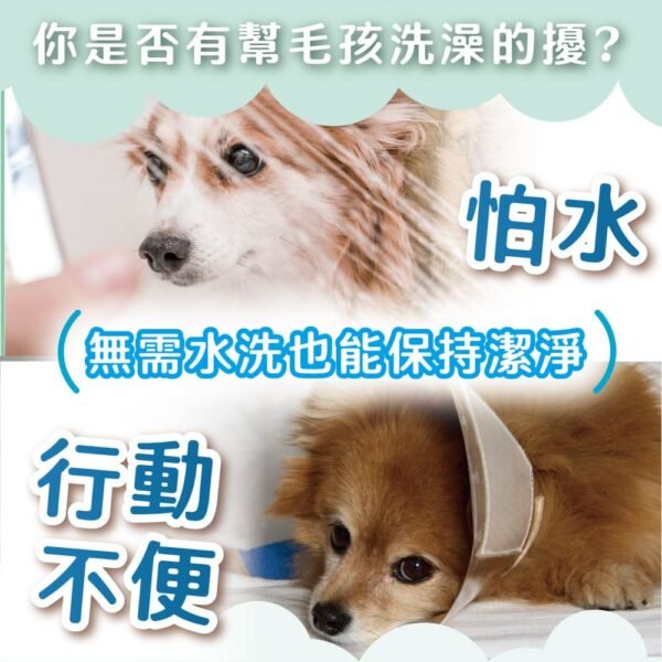 Odout台灣 - （犬貓適用）寵物天然除臭清潔乾洗粉 (100g)