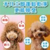 Odout台灣 - （犬貓適用）寵物天然除臭清潔乾洗粉 (100g)