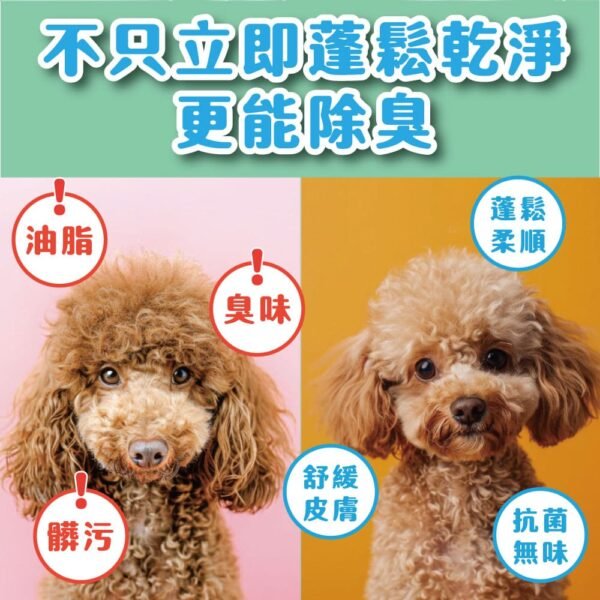 Odout台灣 - （犬貓適用）寵物天然除臭清潔乾洗粉 (100g)