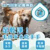 Odout台灣 - （犬貓適用）寵物腳底清潔慕斯 (150ML)