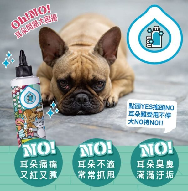 Odout台灣 - （犬貓適用）Ecocert耳清淨潔耳液 (200ML)
