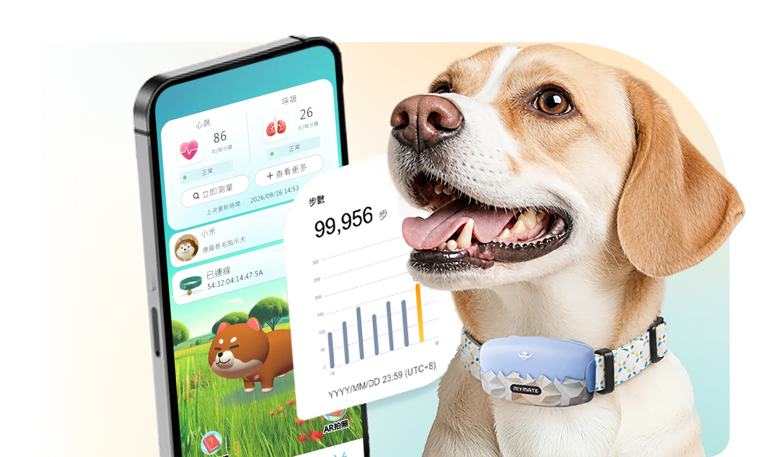 了解Mymate Pet寵物智能健康監測頸圈